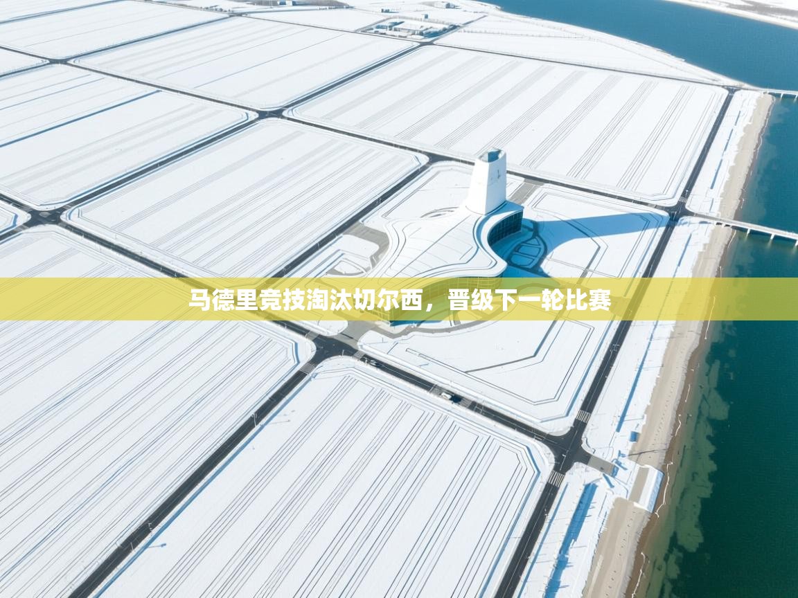 开云体育app登录入口-马德里竞技淘汰切尔西，晋级下一轮比赛  第3张