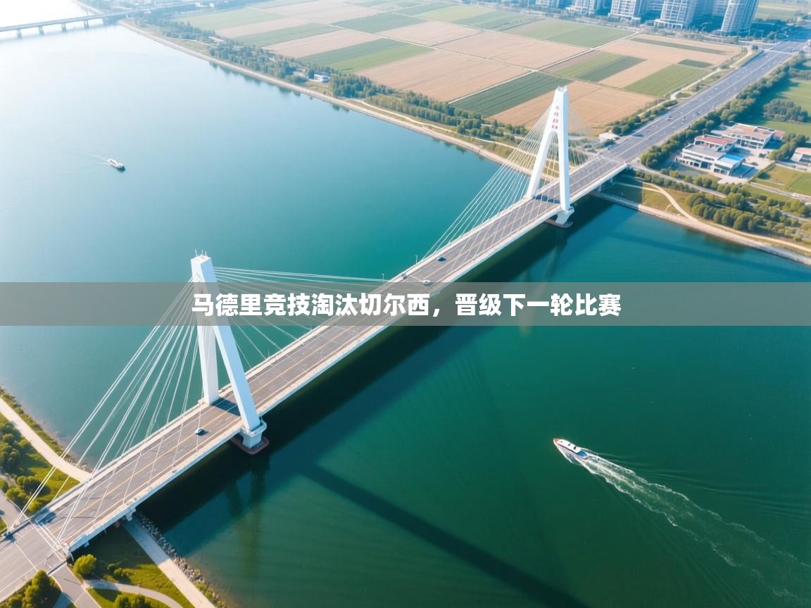 开云体育app登录入口-马德里竞技淘汰切尔西，晋级下一轮比赛  第4张