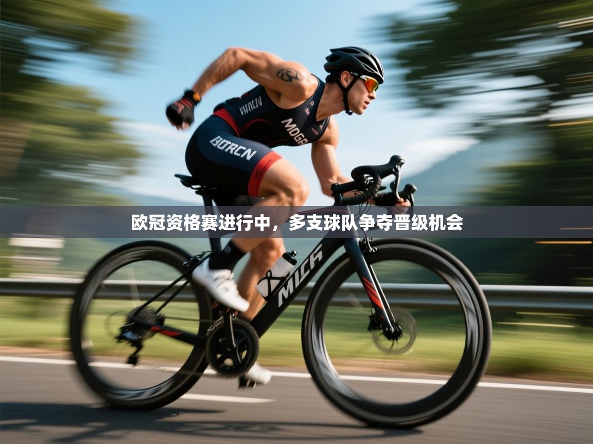 开云体育VIP权益说明-欧冠资格赛进行中，多支球队争夺晋级机会  第1张