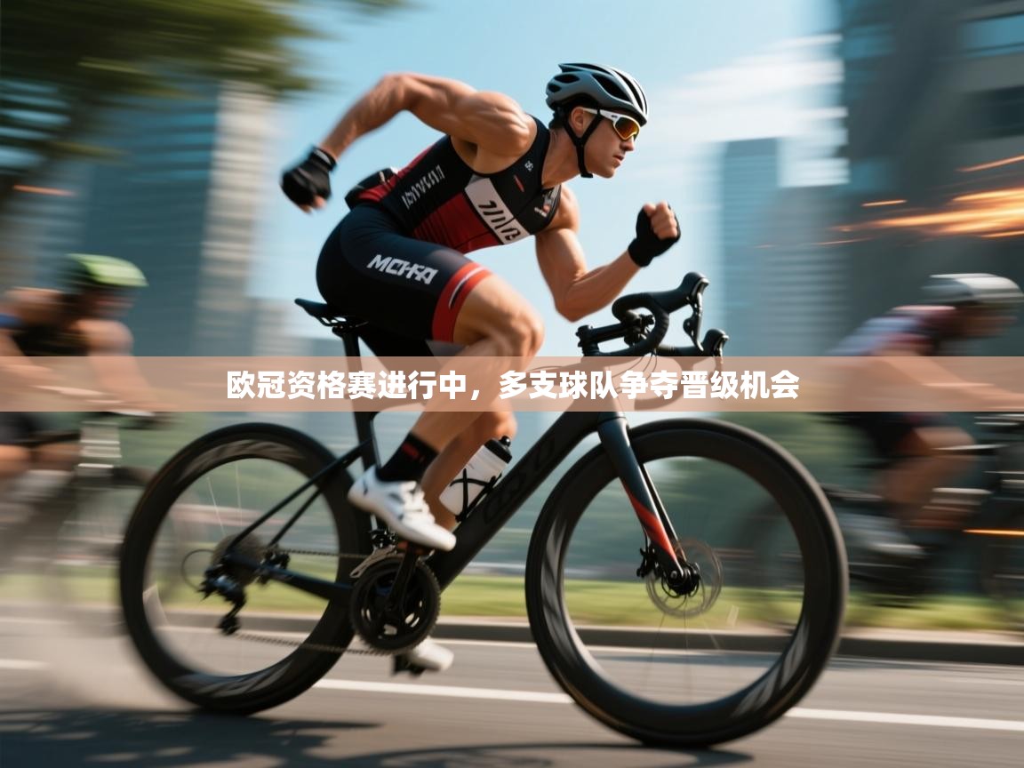 开云体育VIP权益说明-欧冠资格赛进行中，多支球队争夺晋级机会  第3张