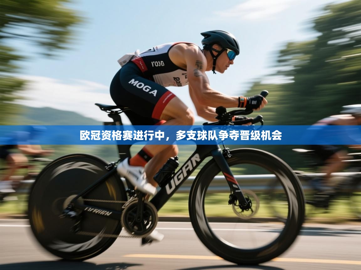 开云体育VIP权益说明-欧冠资格赛进行中，多支球队争夺晋级机会  第4张