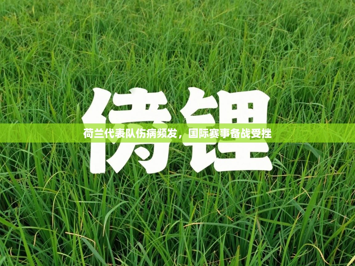 开云体育在线玩-荷兰代表队伤病频发，国际赛事备战受挫  第3张