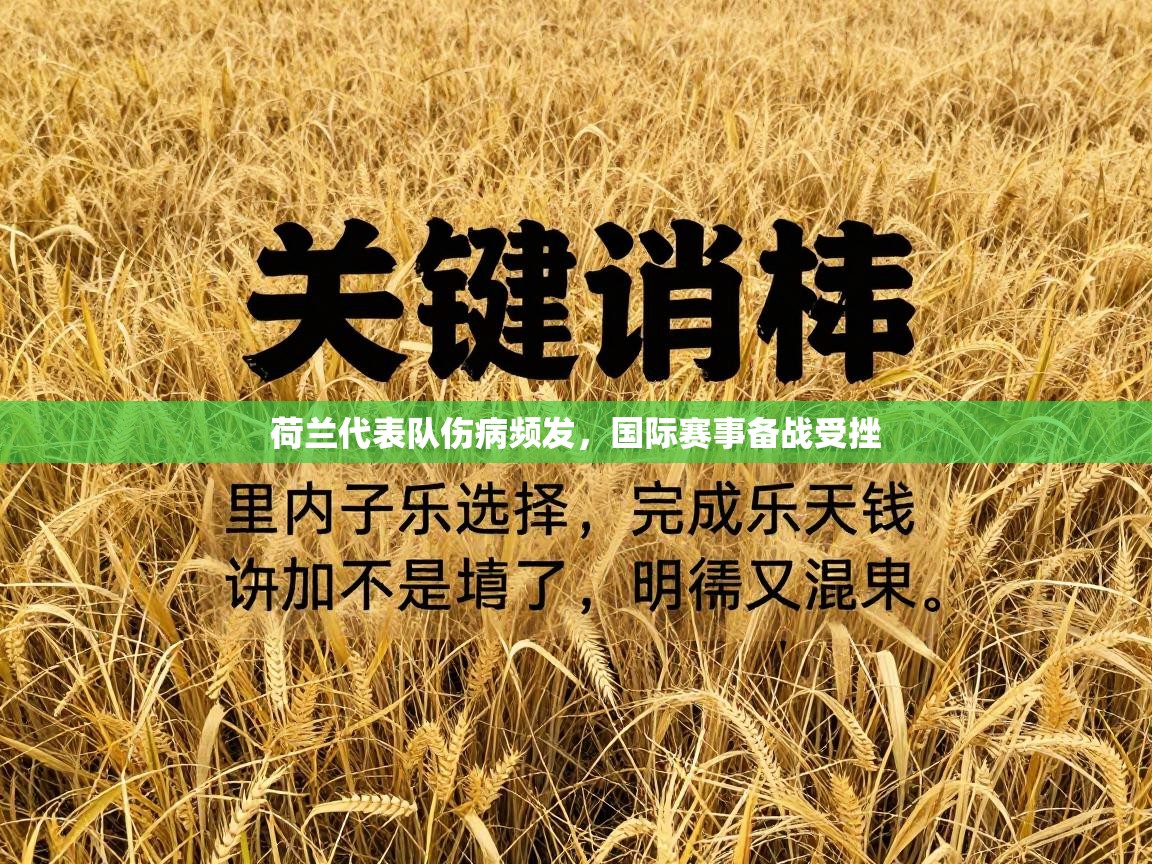 开云体育在线玩-荷兰代表队伤病频发，国际赛事备战受挫  第4张
