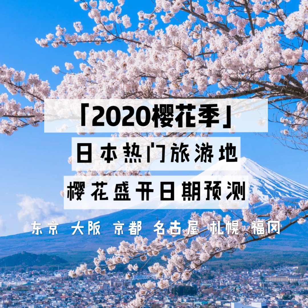 大阪樱花亚洲足球风头无两，胜势如潮